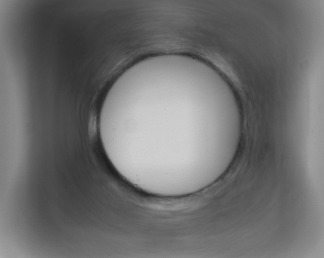 X0000111850021200907231109