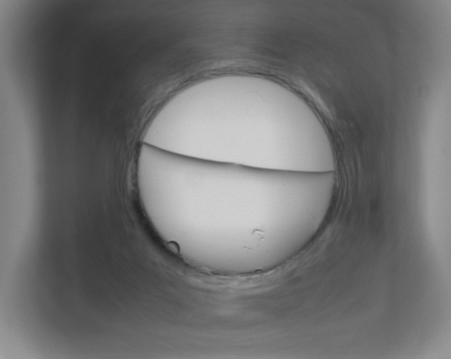X0000111850023200907231109