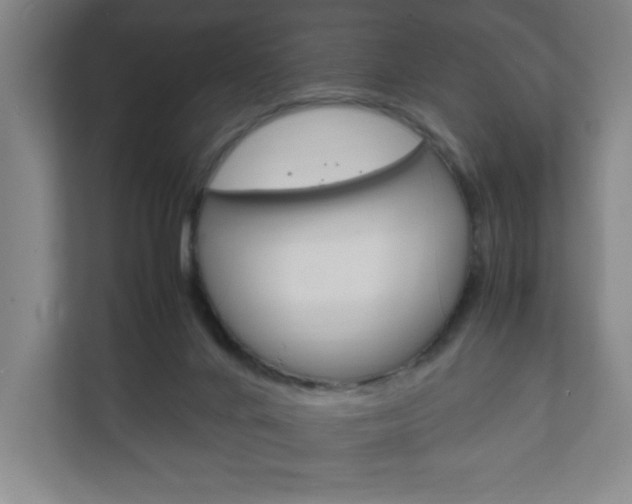 X0000111850024200907231109
