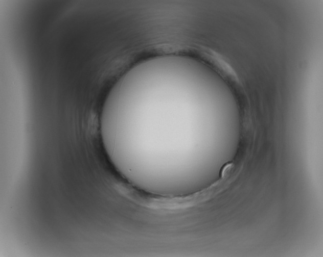 X0000111850025200907231109