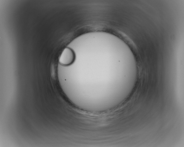 X0000111850026200907231109