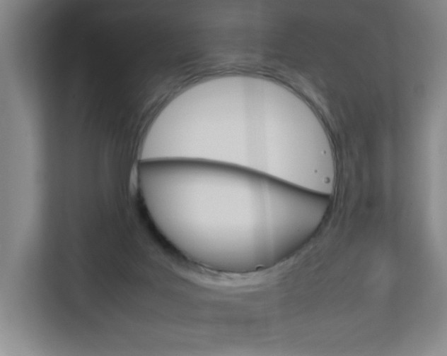 X0000111850027200907231109