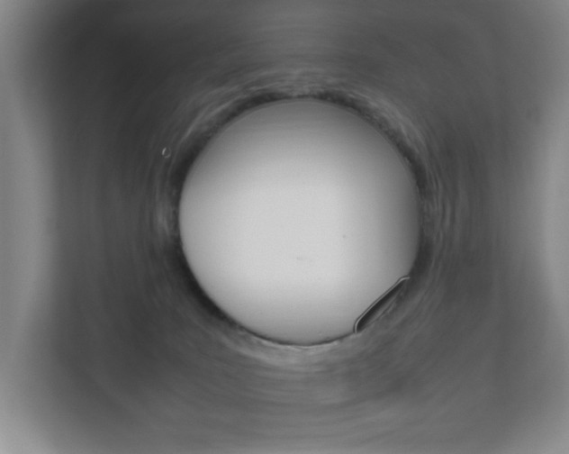 X0000111850035200907231108
