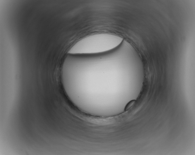 X0000111850036200907231108