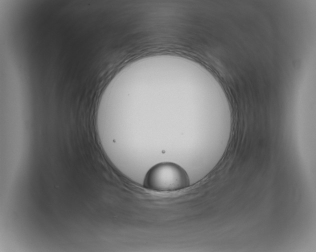 X0000111850039200907231108