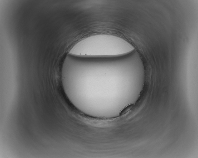X0000111850040200907231108