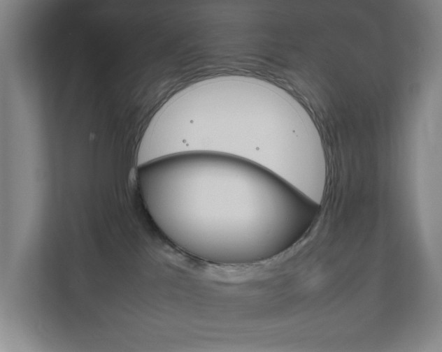 X0000111850041200907231108