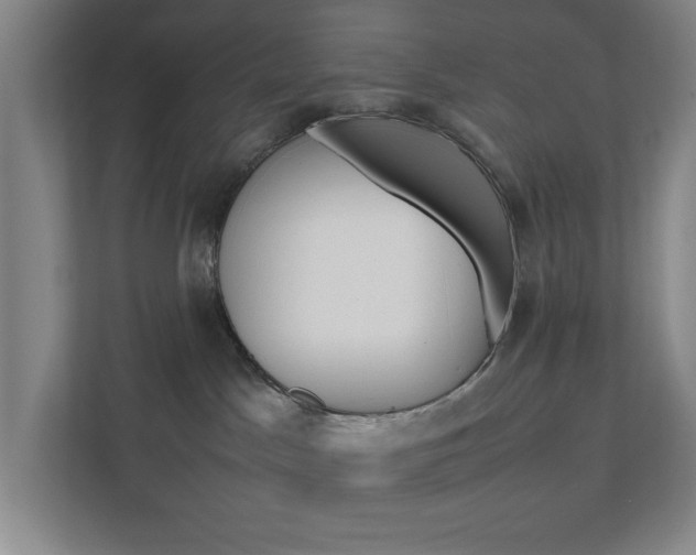 X0000111850045200907231108