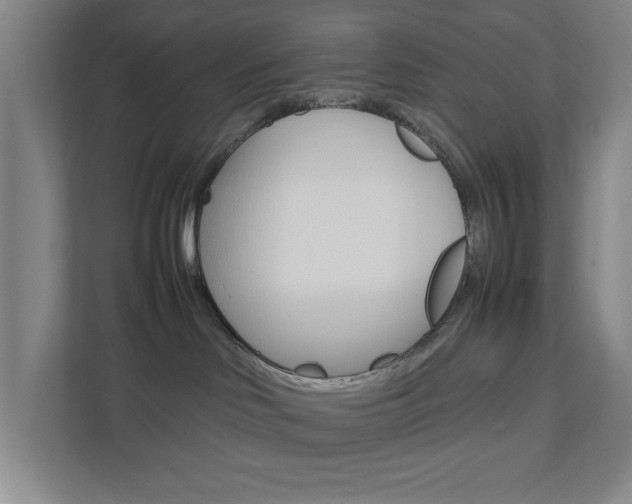 X0000111850046200907231108