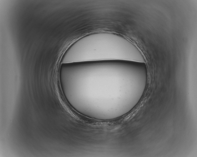 X0000111850049200907231108