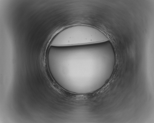 X0000111850050200907231108