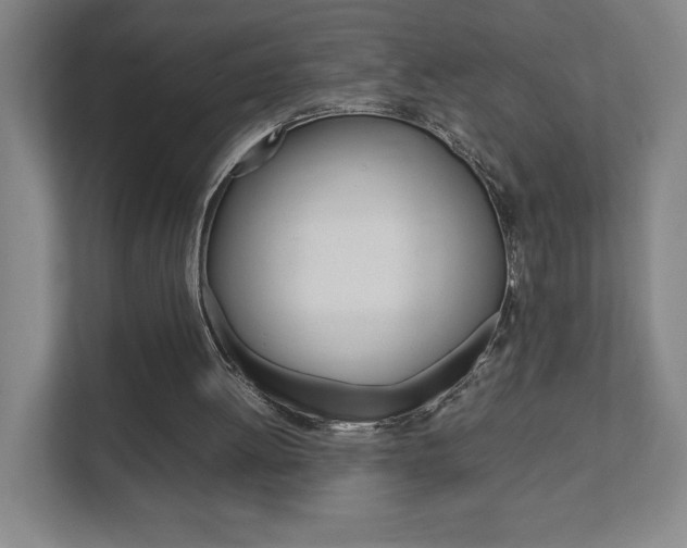 X0000111850052200907231108