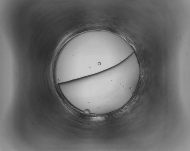 X0000111850053200907231108