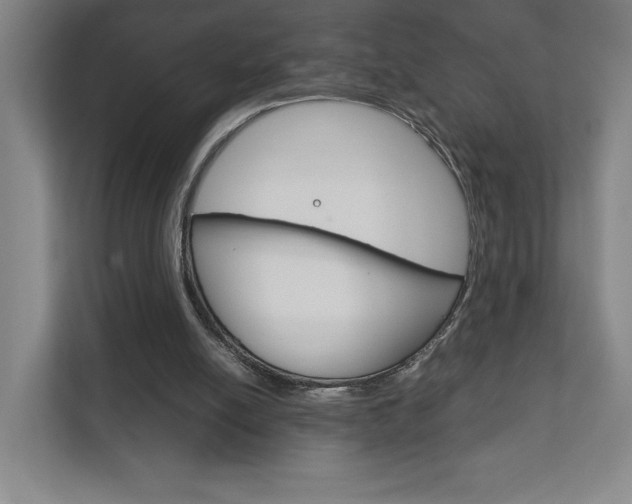 X0000111850054200907231108