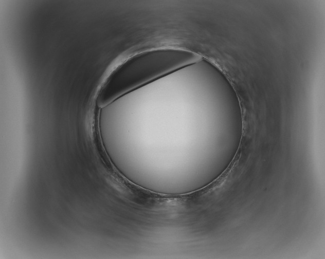 X0000111850056200907231108