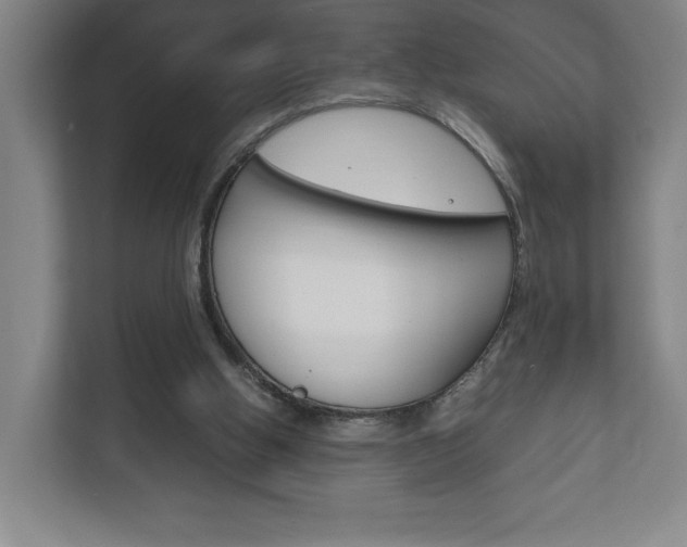 X0000111850058200907231108