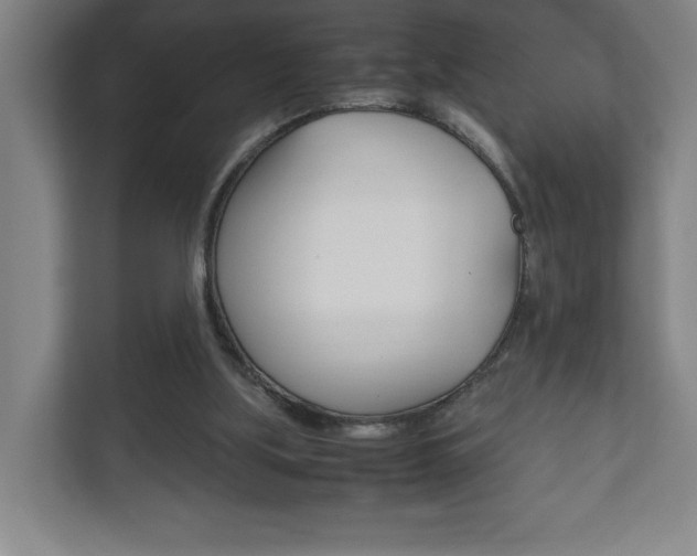 X0000111850059200907231108