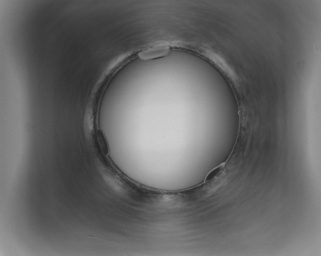 X0000111850060200907231108