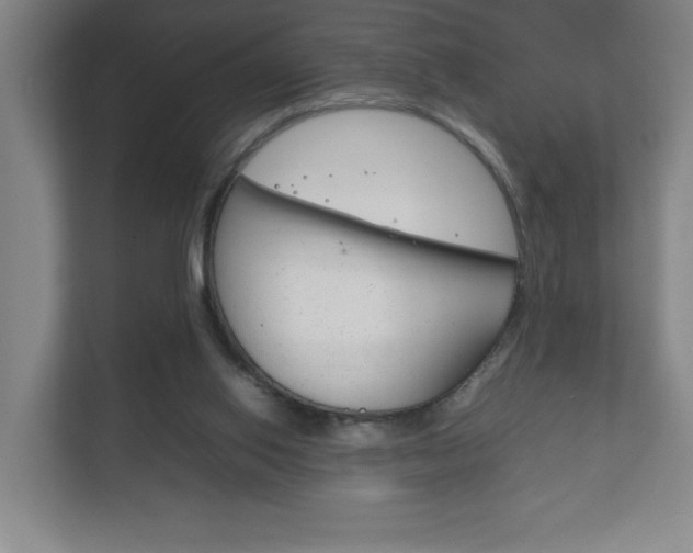 X0000111850062200907231108