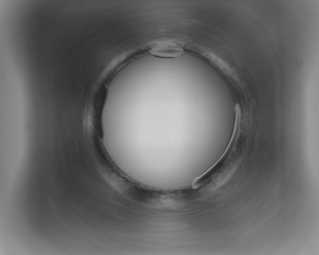 X0000111850064200907231108