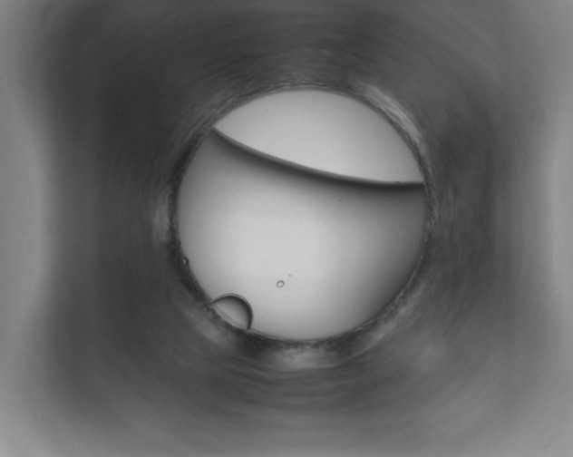 X0000111850065200907231108