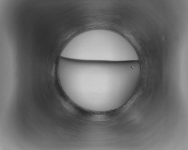 X0000111850066200907231108