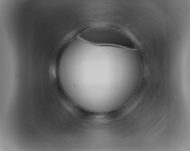 X0000111850068200907231108