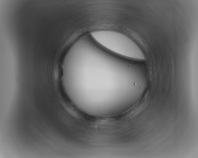 X0000111850072200907231108