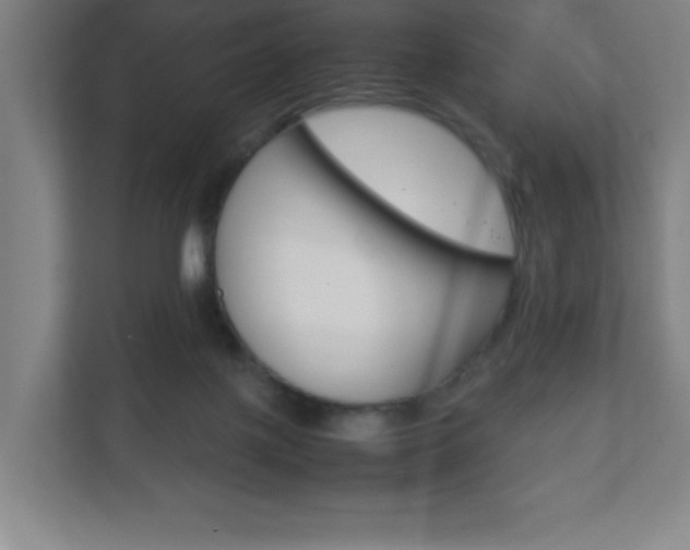 X0000111850075200907231108