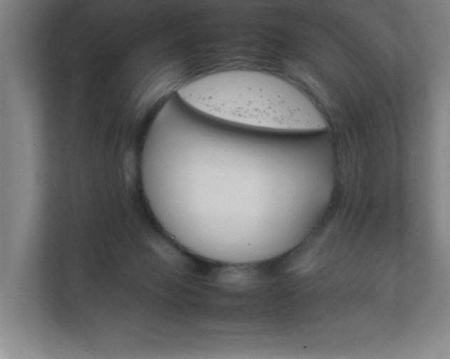X0000111850077200907231108