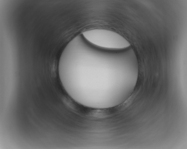 X0000111850082200907231108