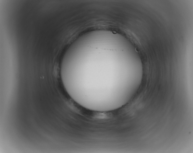 X0000111850083200907231108