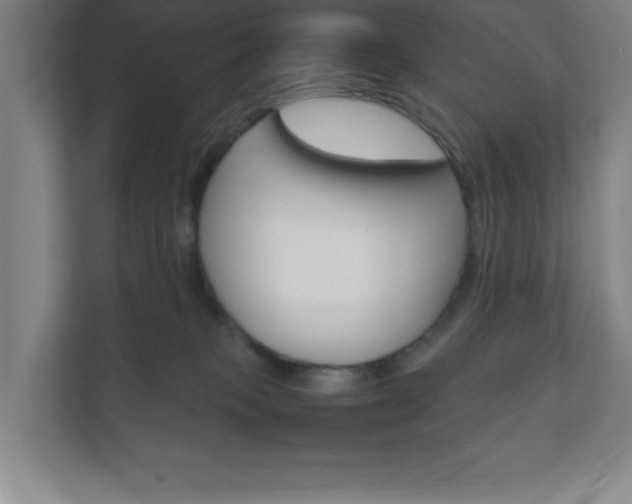 X0000111850085200907231108