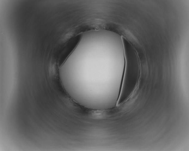 X0000111850088200907231108