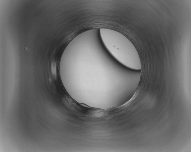 X0000111850094200907231108