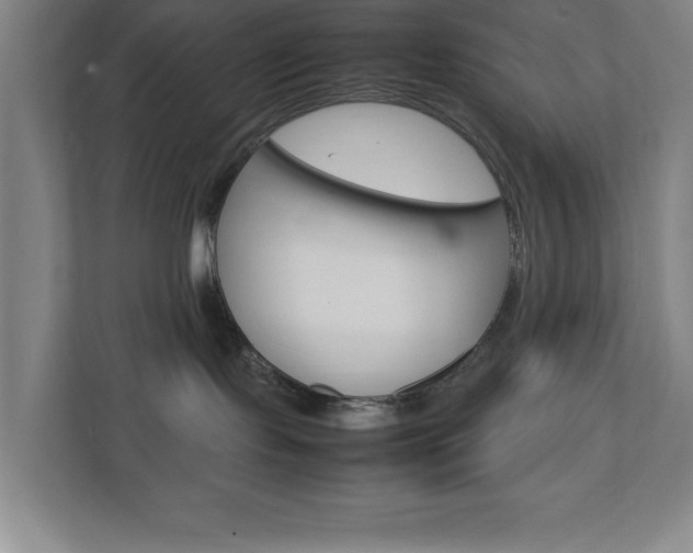 X0000111850095200907231108