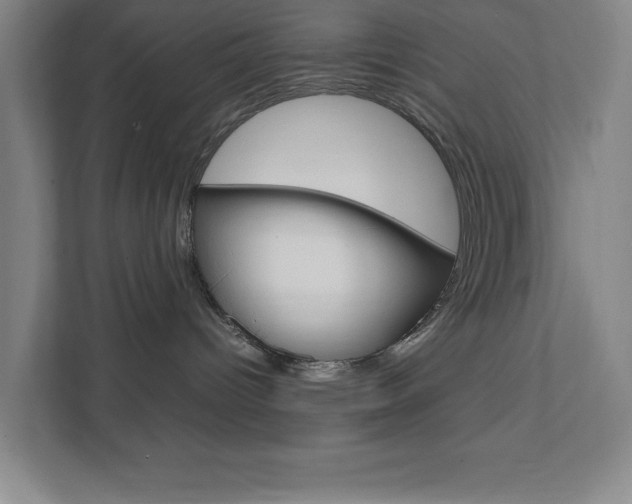 X0000111850096200907231108