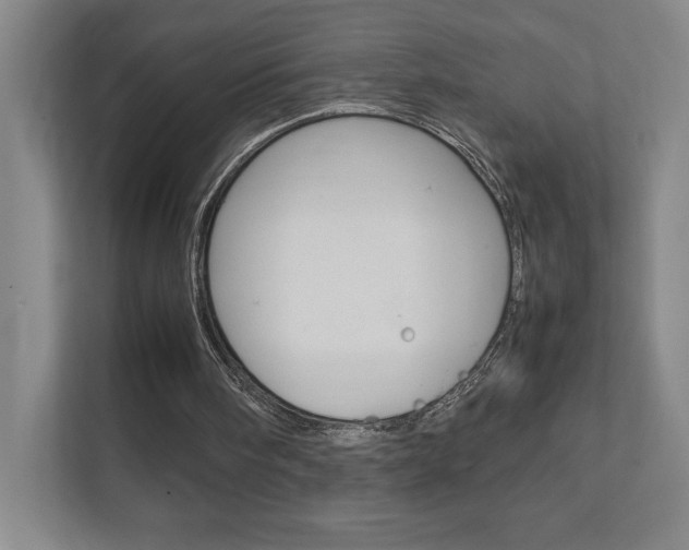 X0000111850098200907231108