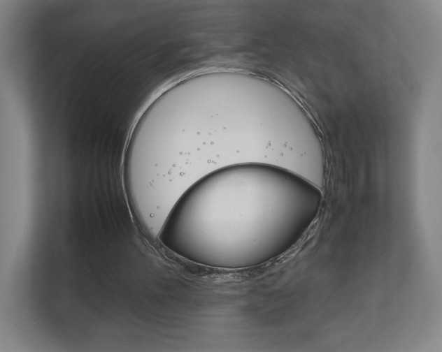X0000111850100200907231108