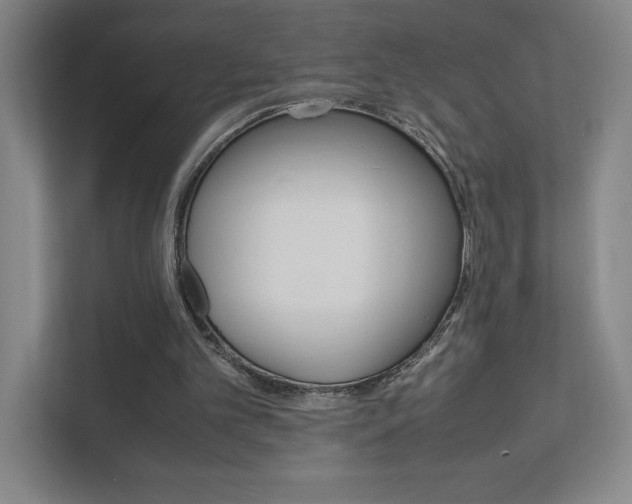 X0000111850101200907231108