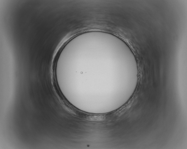 X0000111850102200907231108