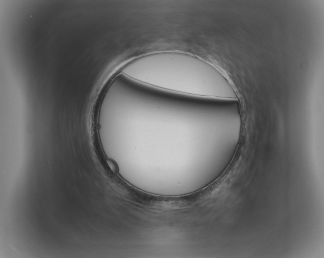 X0000111850103200907231108