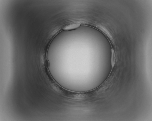 X0000111850105200907231107