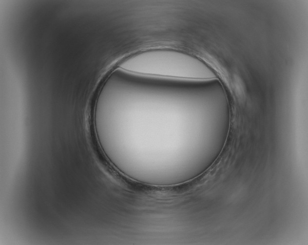 X0000111850107200907231107