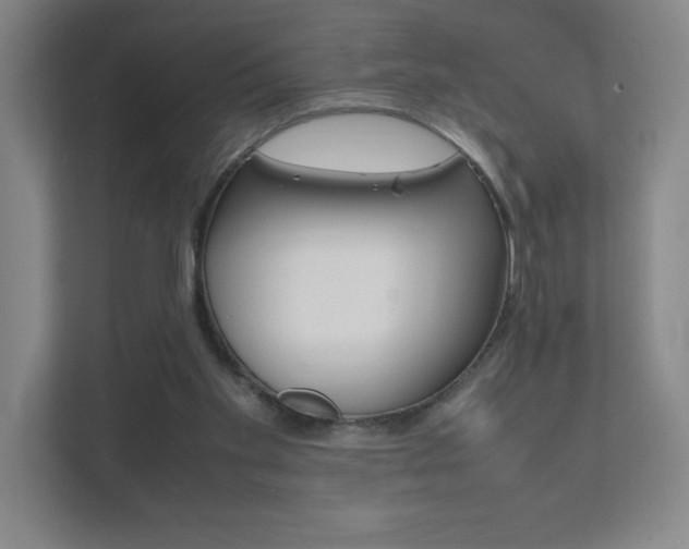 X0000111850109200907231107