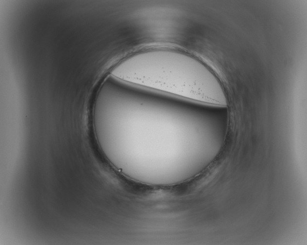 X0000111850111200907231107