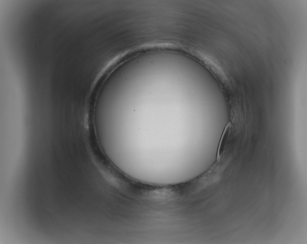 X0000111850112200907231107