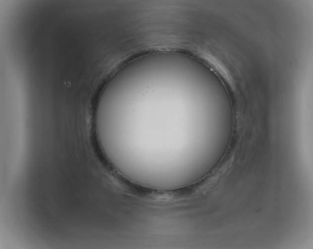 X0000111850113200907231107