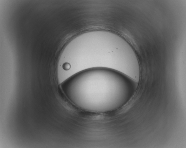 X0000111850116200907231107