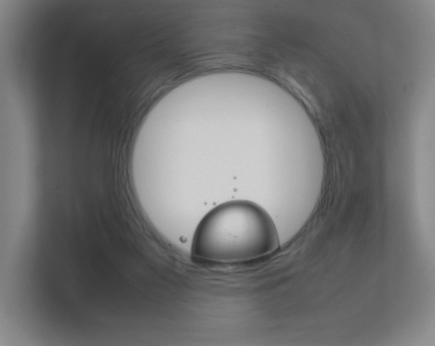 X0000111850117200907231107
